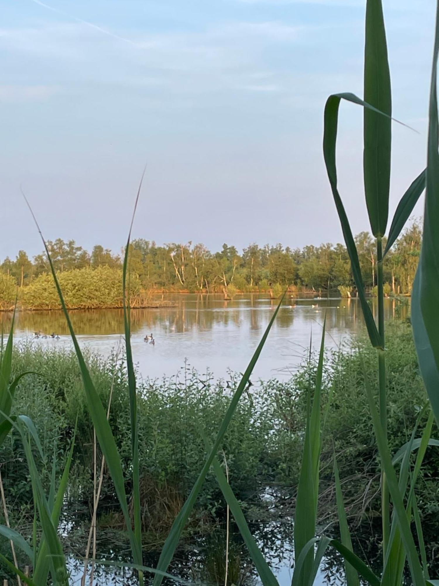 Vakantiewoning Hegga Hegelsom Bagian luar foto