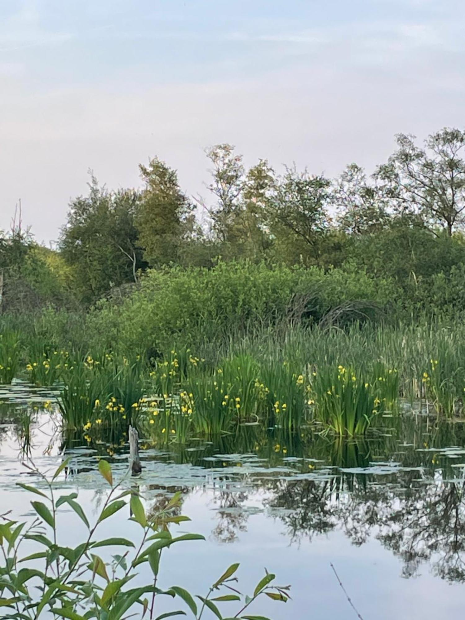 Vakantiewoning Hegga Hegelsom Bagian luar foto