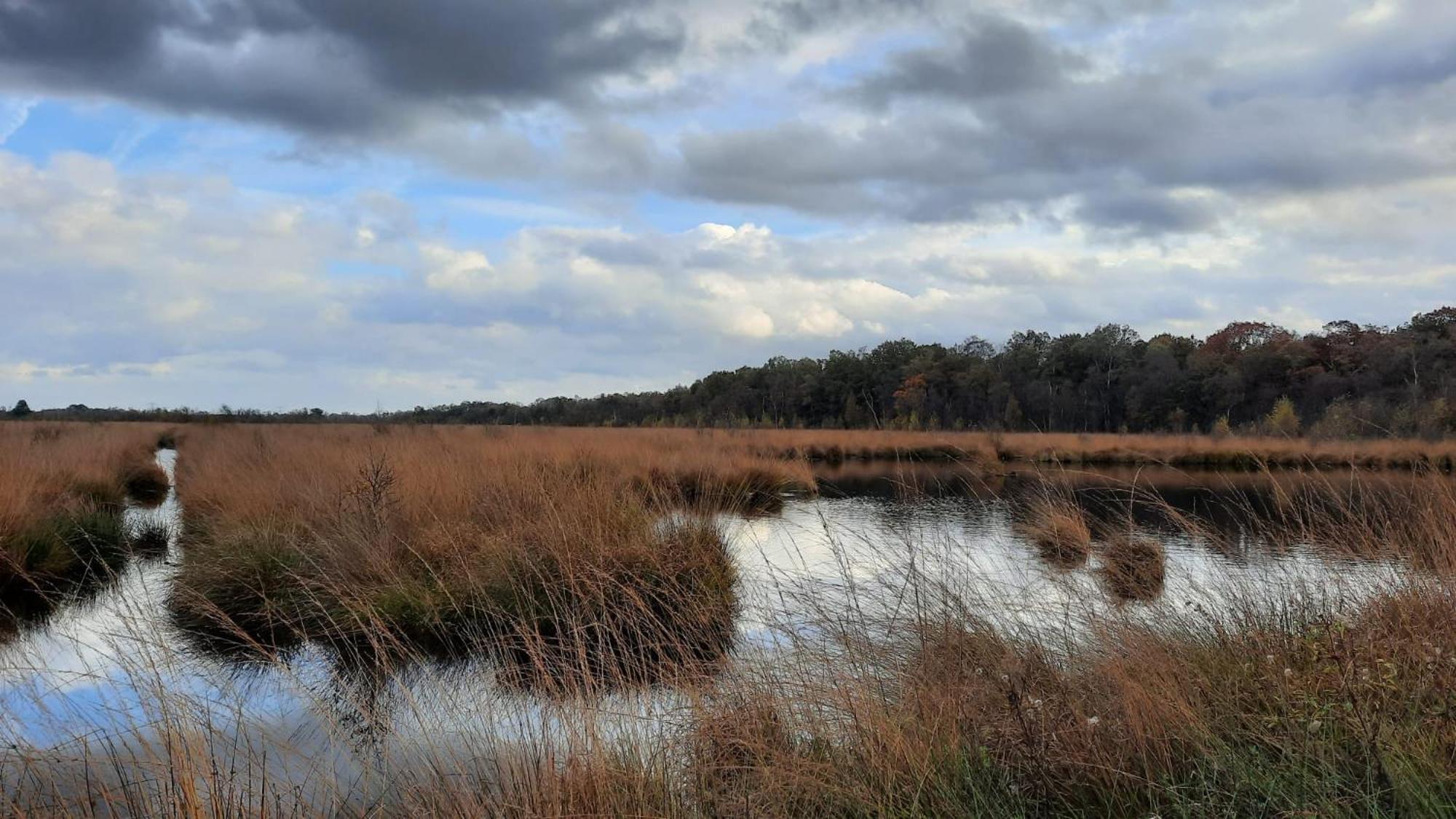 Vakantiewoning Hegga Hegelsom Bagian luar foto