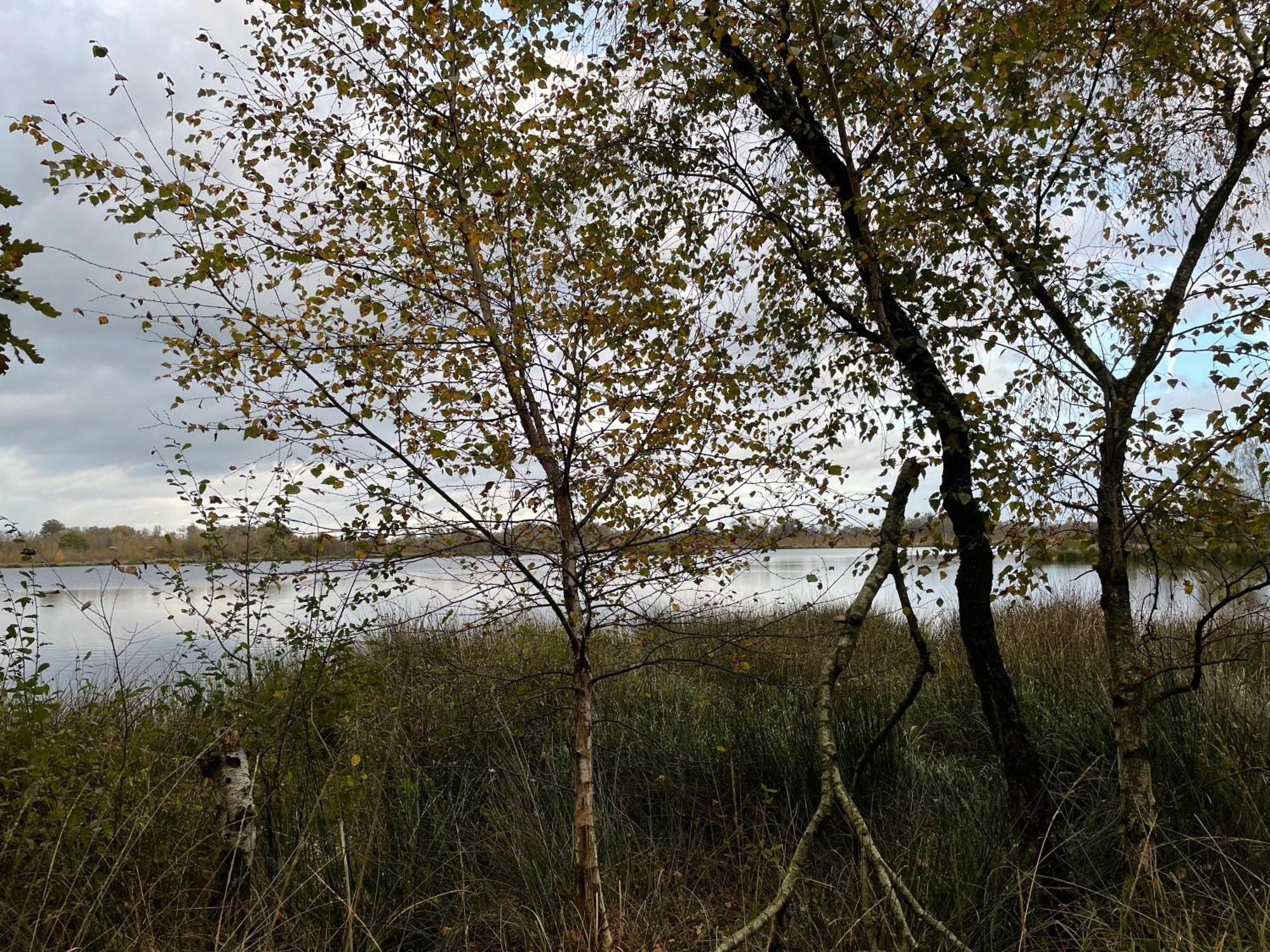 Vakantiewoning Hegga Hegelsom Bagian luar foto